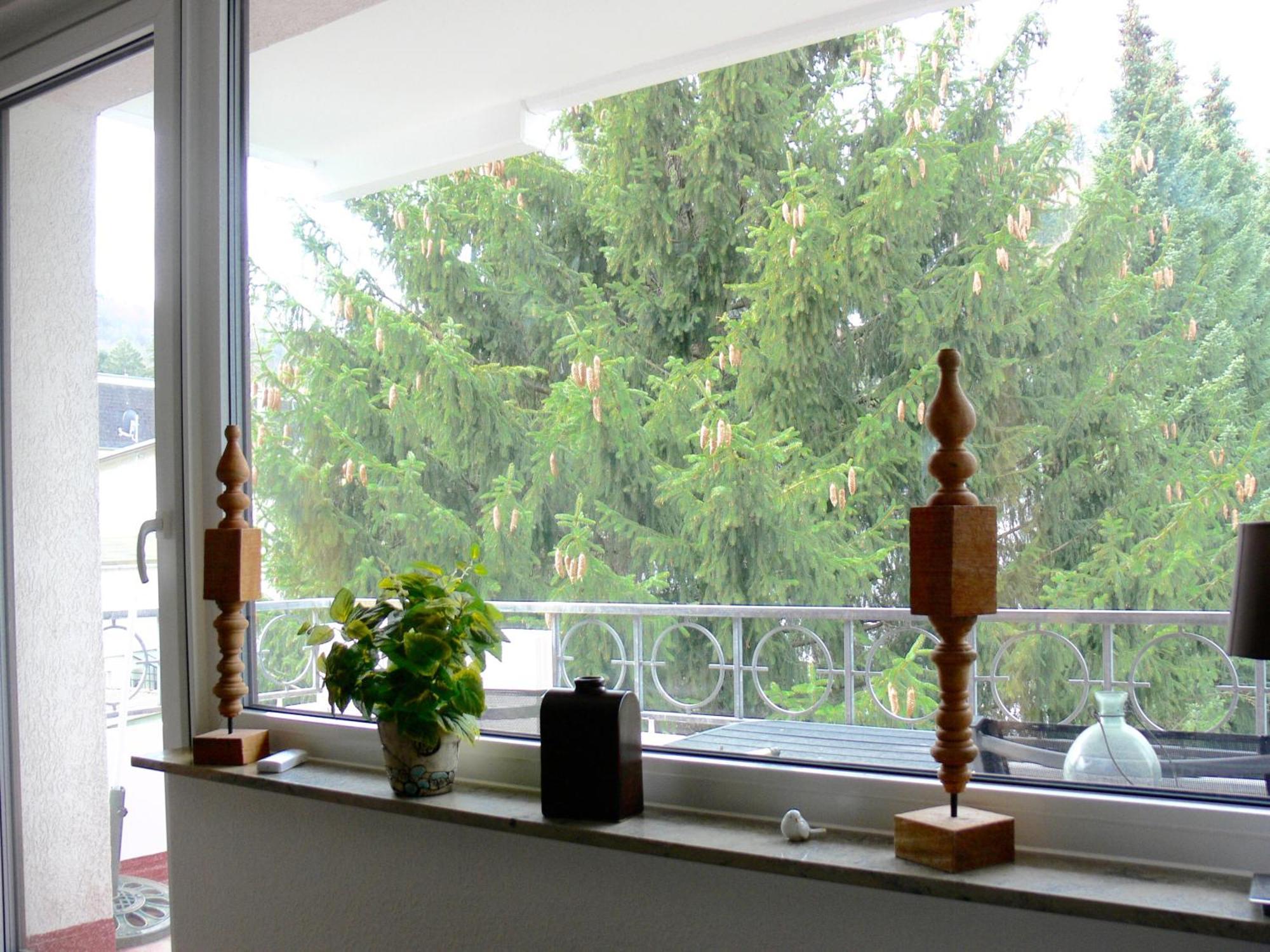 Ferienwohnung Hudewusch Bad Harzburg Esterno foto