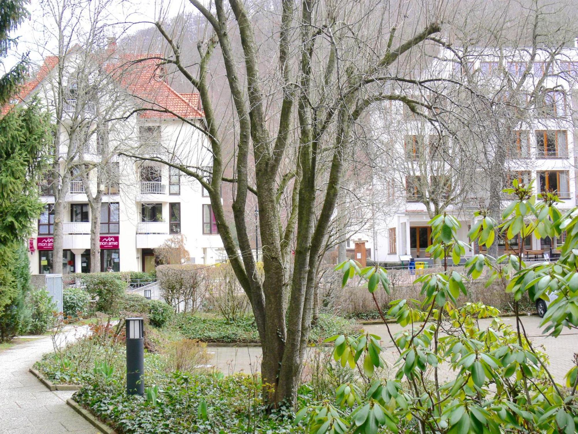 Ferienwohnung Hudewusch Bad Harzburg Esterno foto